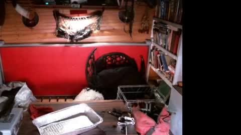 EvPierce online show from April 11, 7:13 am