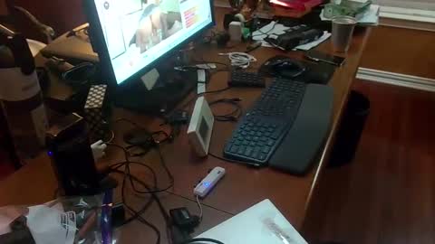 exhibitman69_ldb online show from March 14, 2:37 am