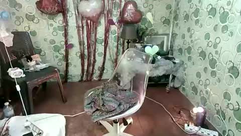 exoticapril01 online show from February 22, 8:00 pm