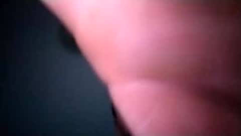 experttreecompany online show from February 19, 9:41 am