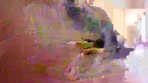 derssing online show from March 2, 9:49 am