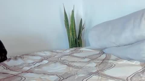 -  A N D E R online show from January 11, 2:01 pm