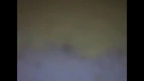 fafafa923 online show from January 12, 11:15 pm