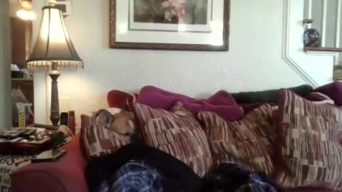 fairmount31 online show from March 28, 1:56 pm