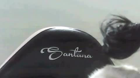 farianna_hot online show from May 2, 10:26 pm