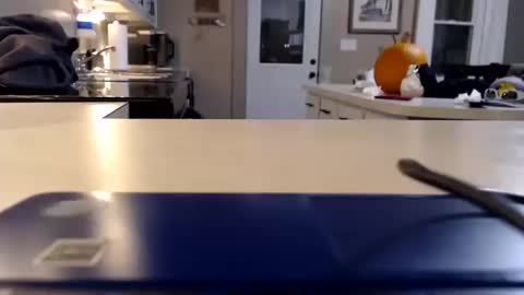 FarmGirl and Daddy online show from October 11, 2:16 am