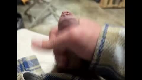 fartinmymouthplz online show from November 2, 6:24 am