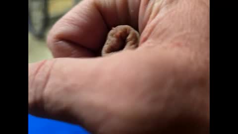 fartinmymouthplz online show from October 11, 3:11 am