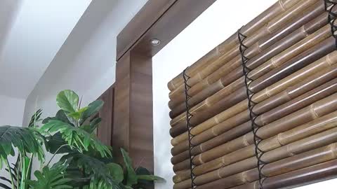 Fayeslate online show from November 12, 4:59 am