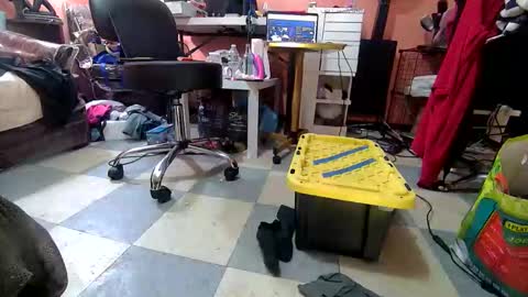 felicitybliss29 online show from April 17, 8:06 am