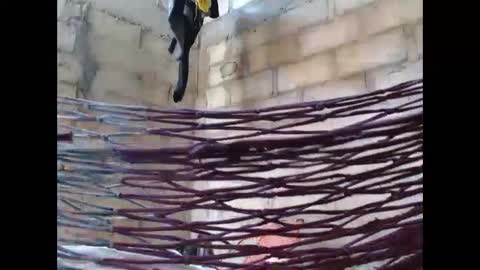 fernandez_latinblack online show from October 1, 2:16 pm