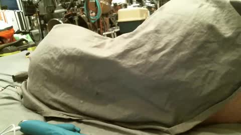 fignutz online show from January 28, 12:32 pm