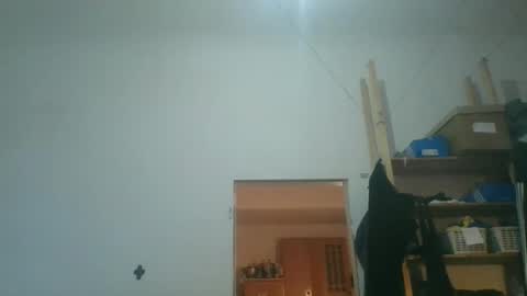 fine_nice online show from November 28, 9:16 am