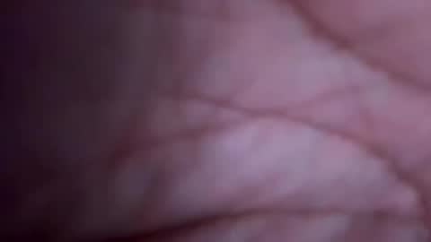 Fine Shit online show from October 23, 2:57 am