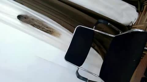 Jasmine online show from October 21, 12:27 am