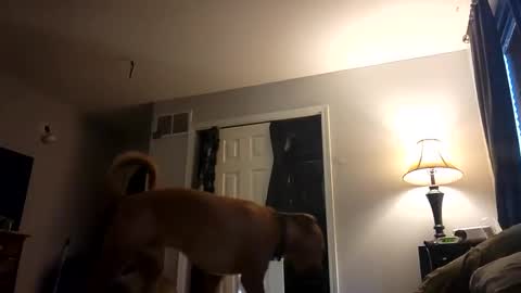 Nate online show from February 28, 1:03 pm