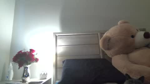 Angel online show from April 13, 5:50 pm