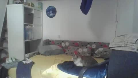 frcokin online show from April 3, 12:23 pm