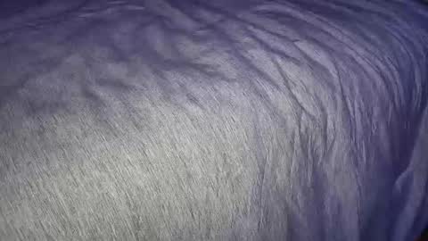 FreyaTheGemini online show from January 7, 3:46 am