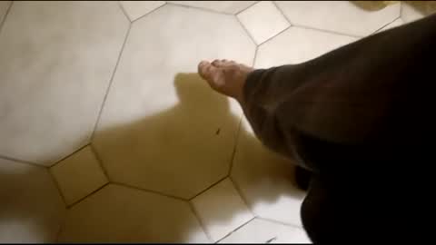 Hornycouple1386 online show from February 16, 3:26 am