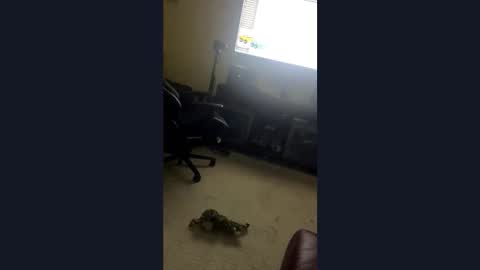 James online show from November 18, 4:26 am