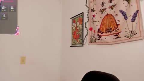 NEW ACCOUNT Gabriella online show from November 14, 5:26 pm