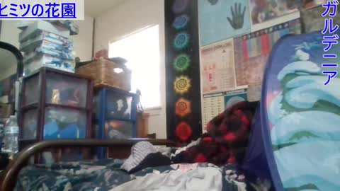 Gardenia online show from February 26, 9:53 pm