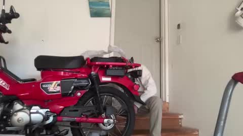 gavinnumbers online show from November 9, 10:34 pm