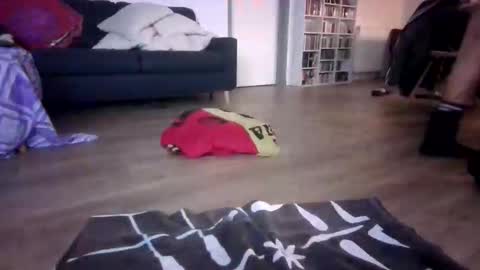 gaypuppychaste online show from December 23, 4:29 am