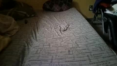 gazdadjoka online show from February 14, 2:23 pm