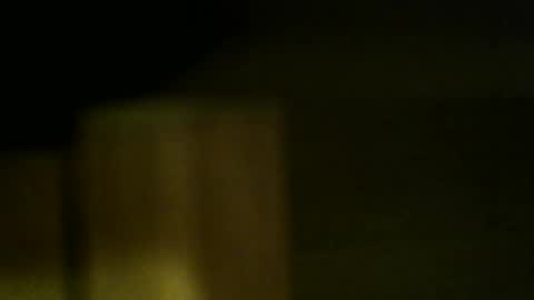 gemini_2 online show from November 30, 4:03 pm