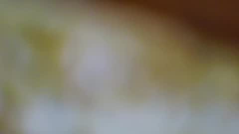 germanandy71 online show from November 16, 8:38 am