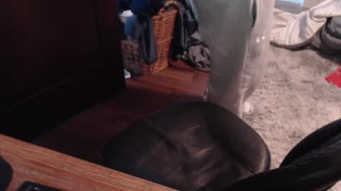 gethoggy online show from January 25, 4:35 pm