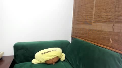 andy online show from November 11, 3:42 am