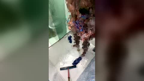 giftedbr online show from April 20, 7:00 am