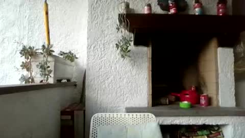 gioco online show from June 8, 6:53 pm