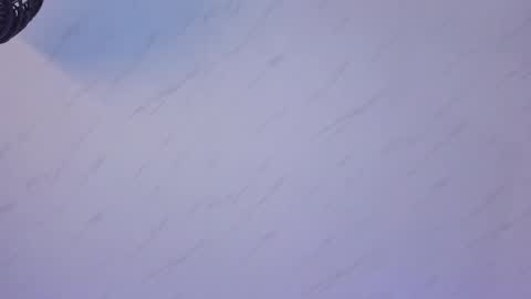     online show from November 5, 10:39 am