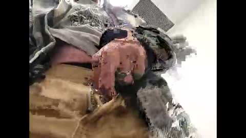 glen311 online show from April 19, 4:08 pm