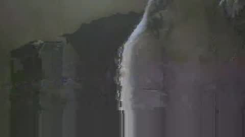 gnz310388 online show from November 14, 12:40 pm