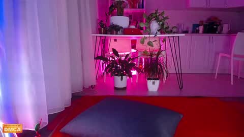 Elpis Foxter online show from June 7, 9:53 pm