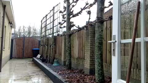 Snapshot of goldenelixxxir chatting on December 23, 12:41 pm   online show from December 23, 12:41 pm