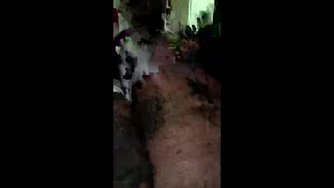 goodinbed69todd online show from December 17, 2:40 am