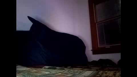 Asian matt online show from October 3, 4:54 am