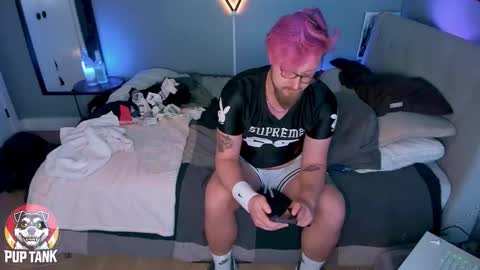 Alpha pup online show from November 11, 10:23 pm