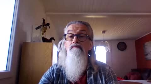 Grybear online show from February 17, 11:53 am