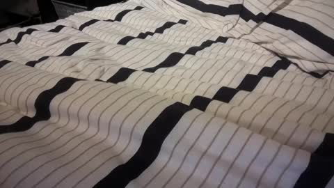 gumbywanna online show from January 21, 1:08 am