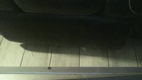 Snapshot of guy8inches4u chatting on September 18, 11:58 am guy8inches4u online show from September 18, 11:58 am