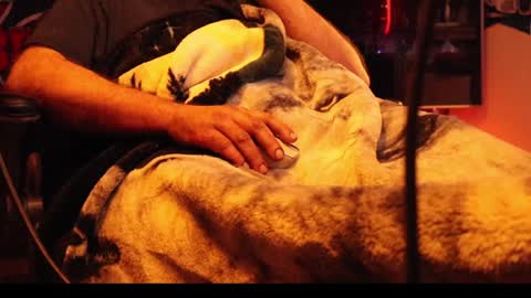 h0tttsteel online show from December 18, 10:08 am