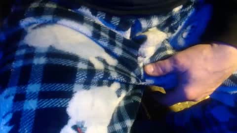 H2omygod online show from January 17, 2:07 pm