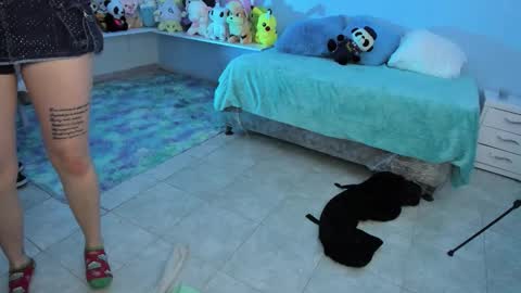 Hadde online show from February 19, 11:53 am